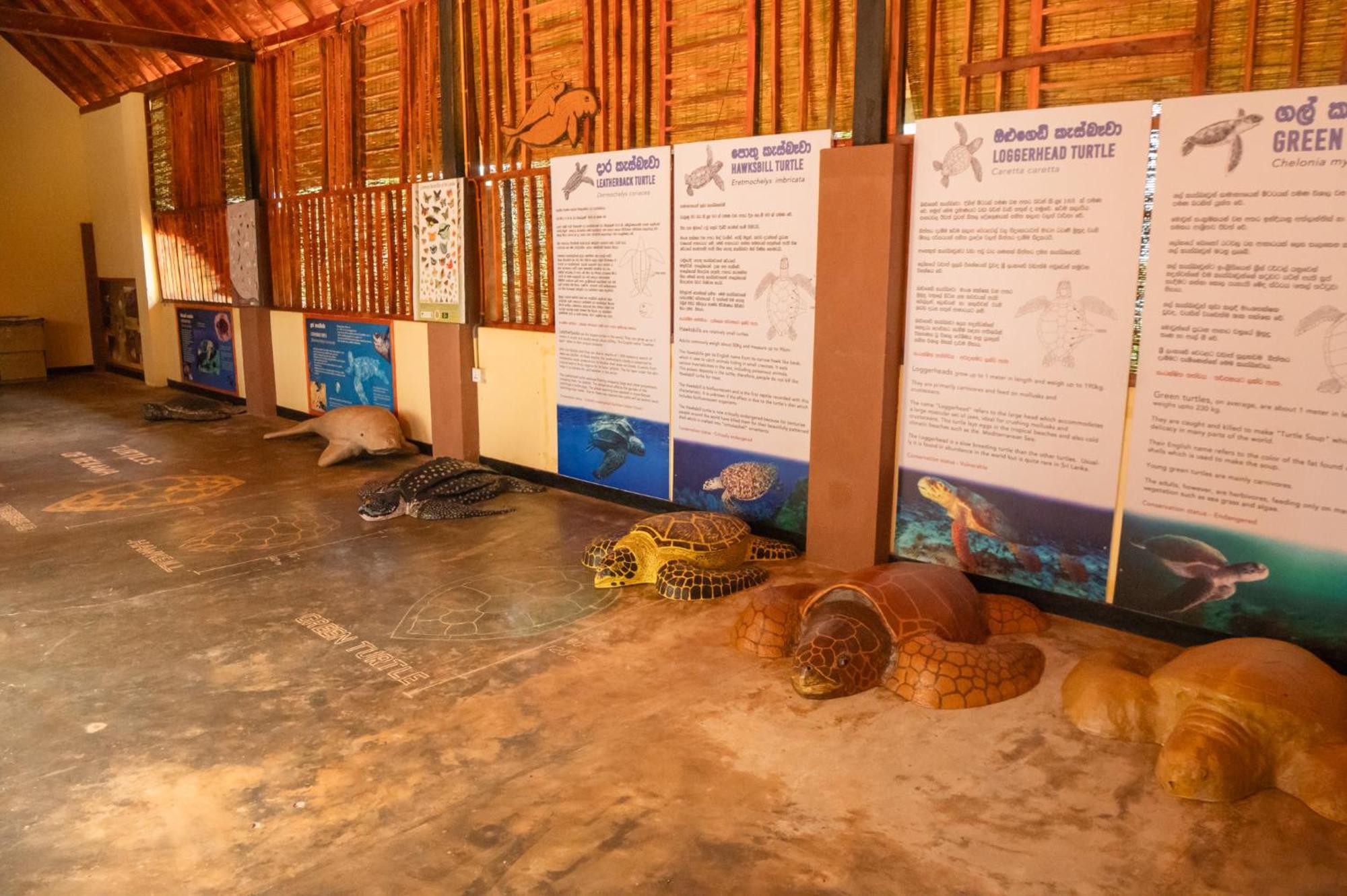 Rekawa Turtle Gate Hotel Tangalle Εξωτερικό φωτογραφία
